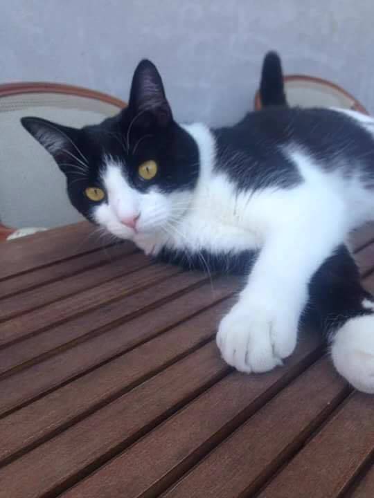 Felix