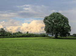 Foto del giorno del mese di giugno 2016