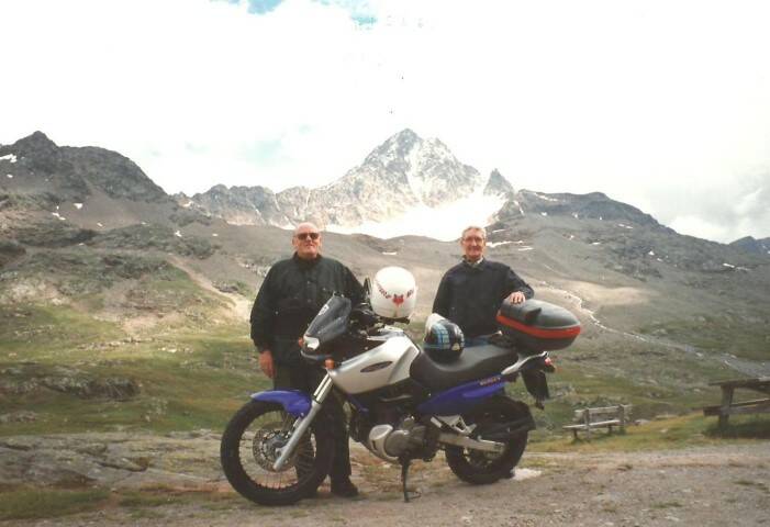 Gavia