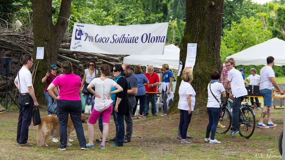 girinvalle 2016 fiume olona