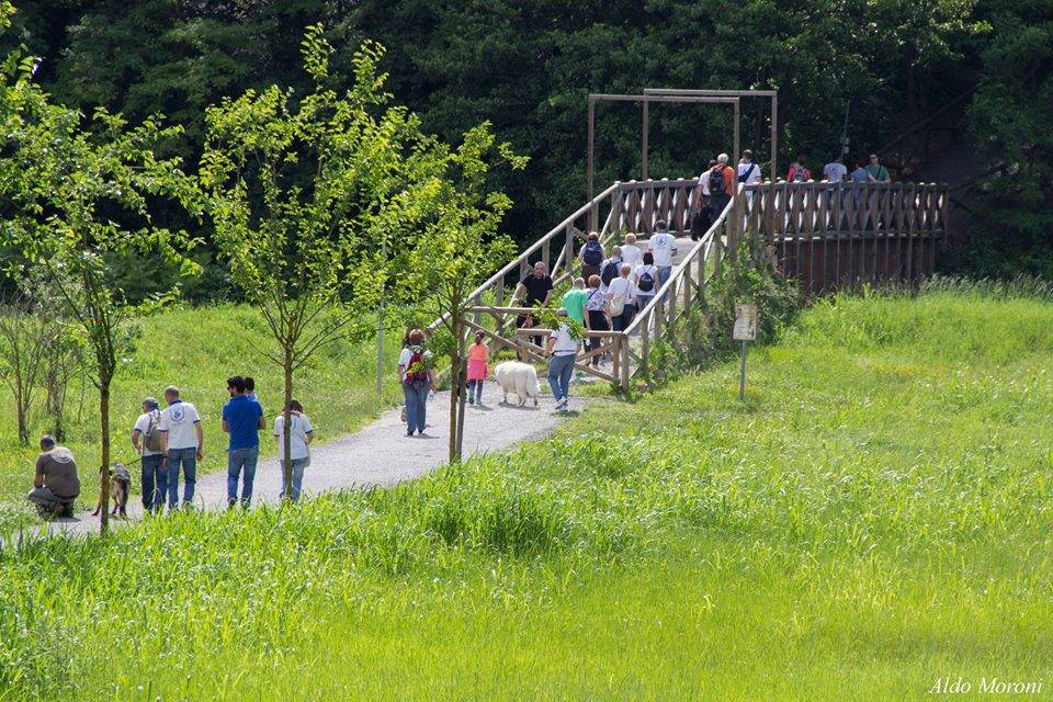 girinvalle 2016 fiume olona