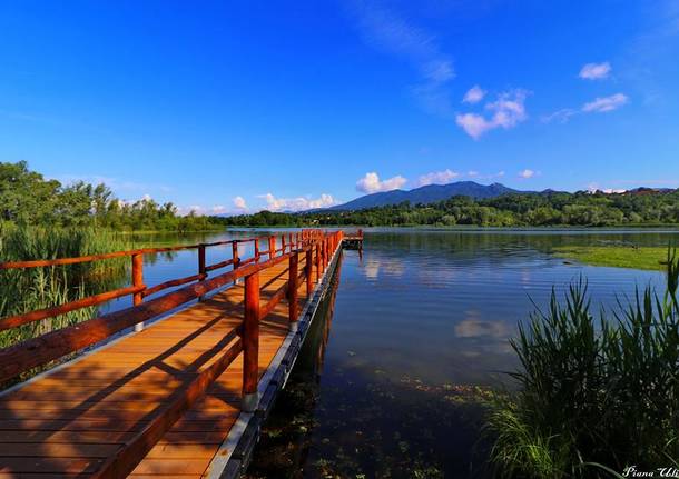Il pontile di Capolago