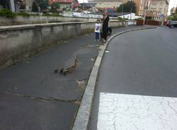 IMG 20160603 WA0011