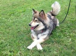 IMG 20160614 WA0016
