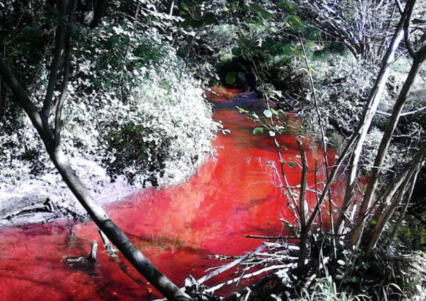 Il rio Rancina cambia colore