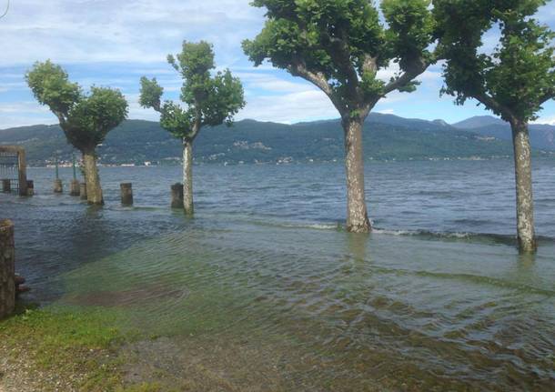 Lago Maggiore al limite, fuoriuscito a Monvalle