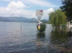 lago maggiore esondato lisanza