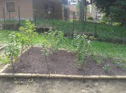 Orto didattico Moriggia