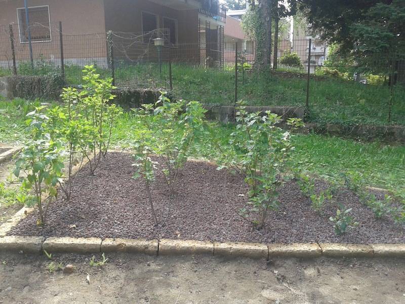 Orto didattico Moriggia