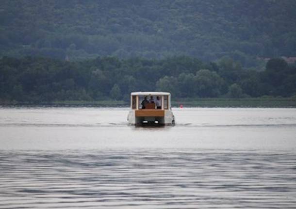 Pesce di lago all'Isolino Virginia