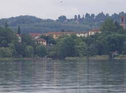 Pesce di lago all'Isolino Virginia