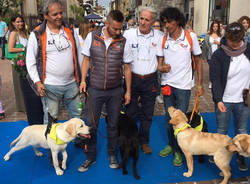 pet therapy piazza san giovanni