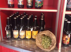 redazionale hops