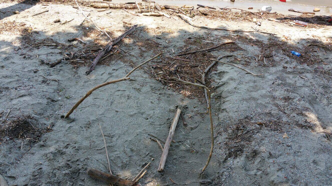 Spiagge sporche a Cerro di Laveno Mombello 