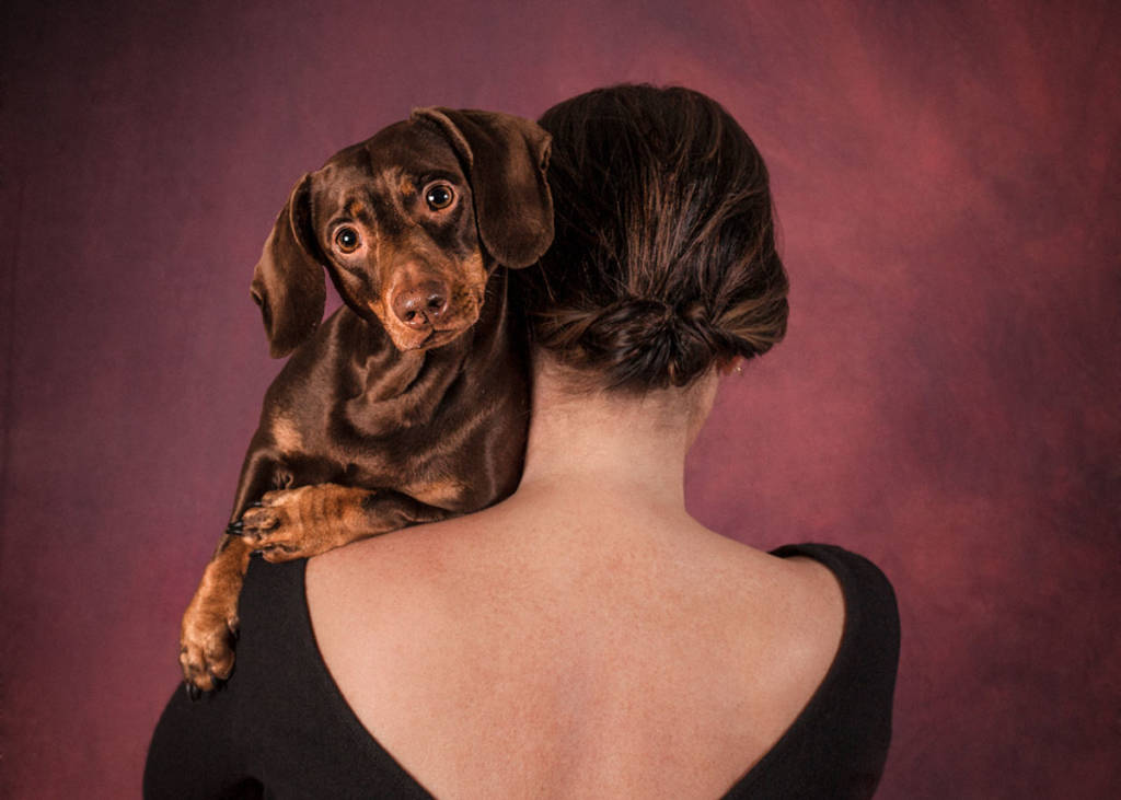 Varese - Human dog a Convergenze