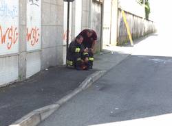 vigili del fuoco incendio ex crespi