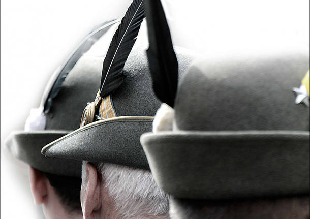 alpini generiche