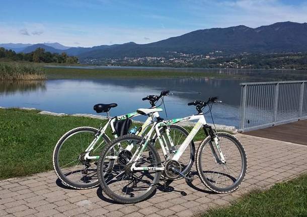 biciclette schiranna