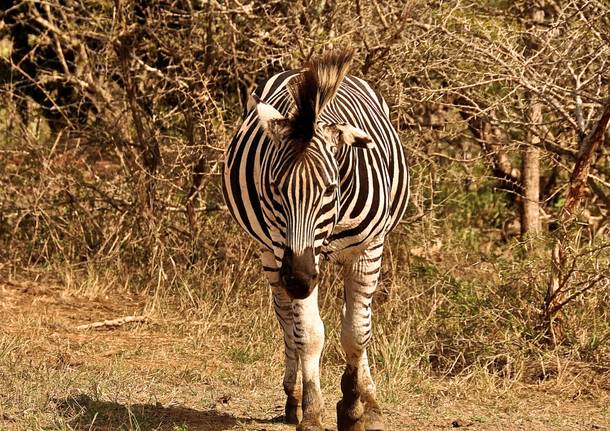 Scoprendo il Sudafrica