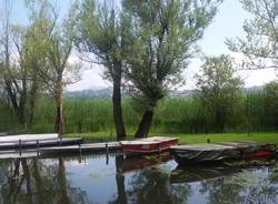 Il lago di Varese al porticciolo di azzate