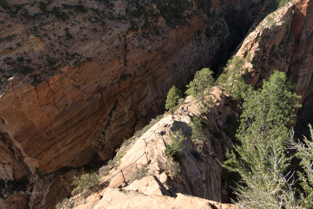 USA, dalle città alla natura