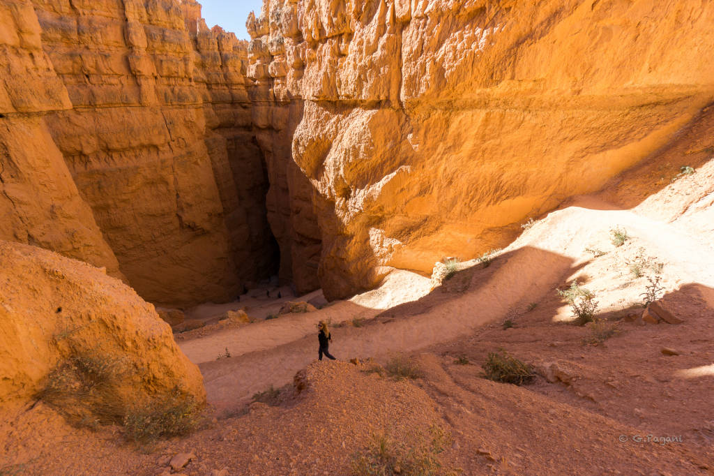 USA, dalle città alla natura