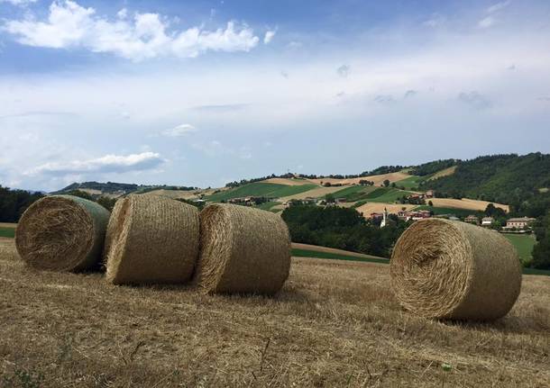 Via Francigena: Fidenza - Medesano