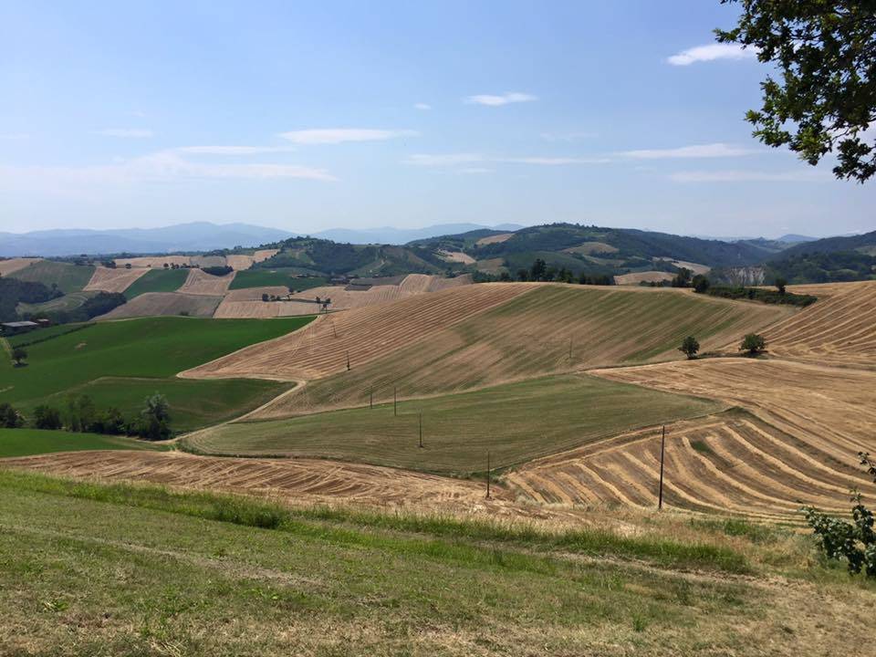 Via Francigena: Fidenza - Medesano