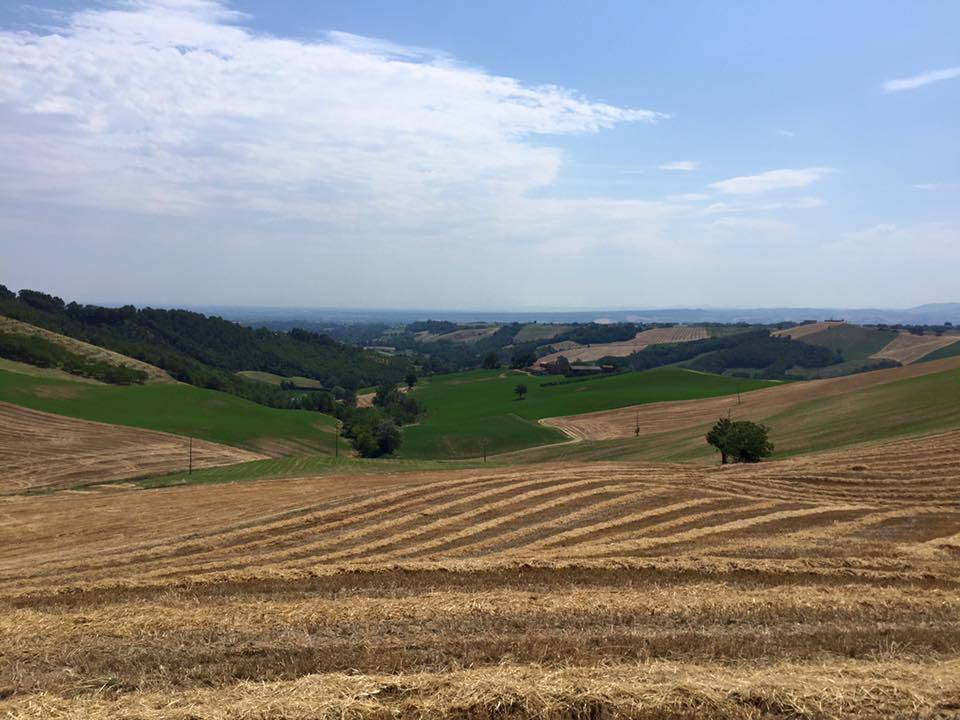 Via Francigena: Fidenza - Medesano