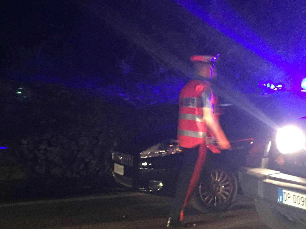 Cervo travolto da un'auto a Laveno il 16 luglio
