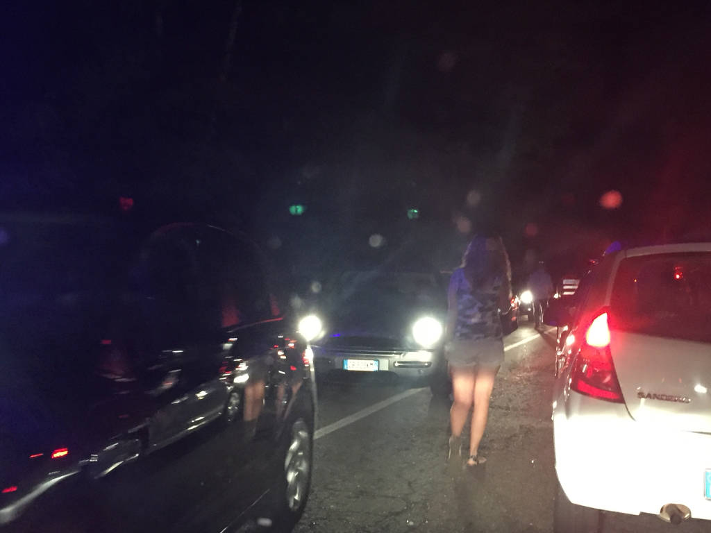 Cervo travolto da un'auto a Laveno il 16 luglio