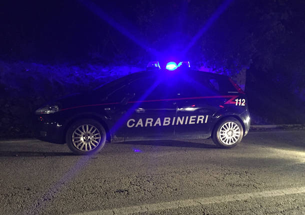 Scontro tra cervo e auto a Laveno