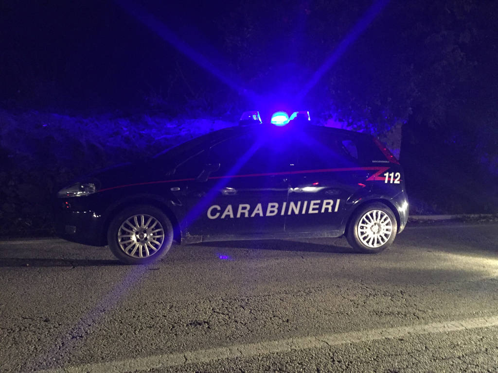 Cervo travolto da un'auto a Laveno il 16 luglio