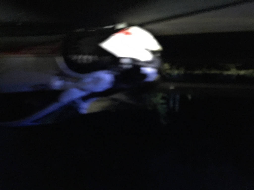Cervo travolto da un'auto a Laveno il 16 luglio