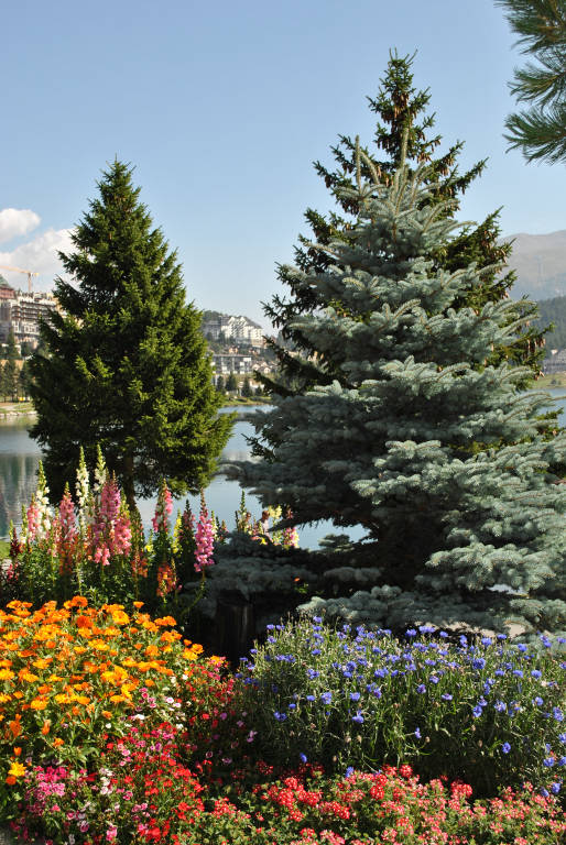 Dallo Stelvio a Davos