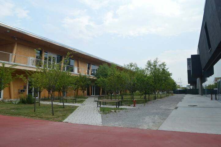 DSC 2891