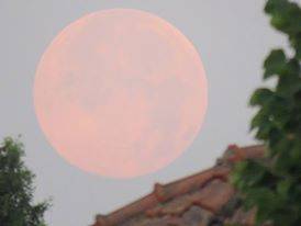 Guarda che luna