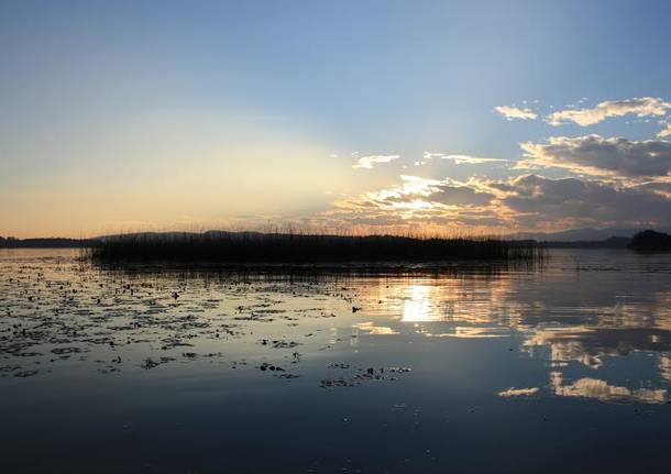 Il lago da vicino