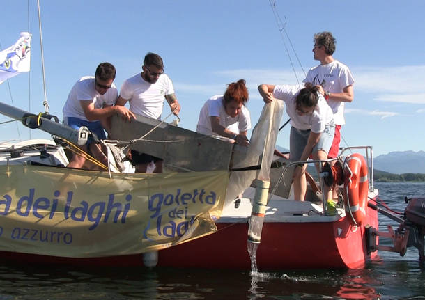 La campagna Goletta dei laghi sulle acque del Lago Maggiore