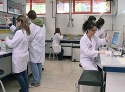 laboratorio