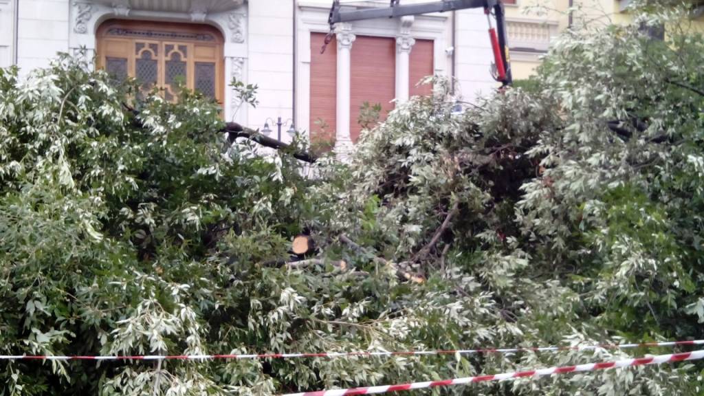 Maltempo, i danni provocati dal temporale di domenica 31 luglio