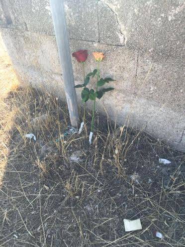 Nardò, rifatta la segnaletica stradale un anno dopo la tragedia