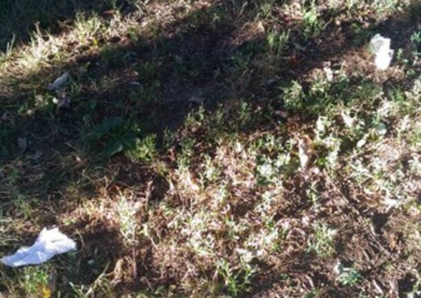 Degrado al parchetto di via Liguria angolo via Sardegna