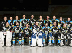 varese killer bees hockey