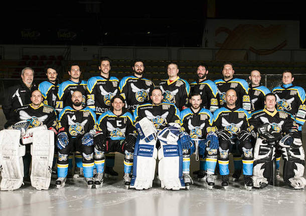 varese killer bees hockey