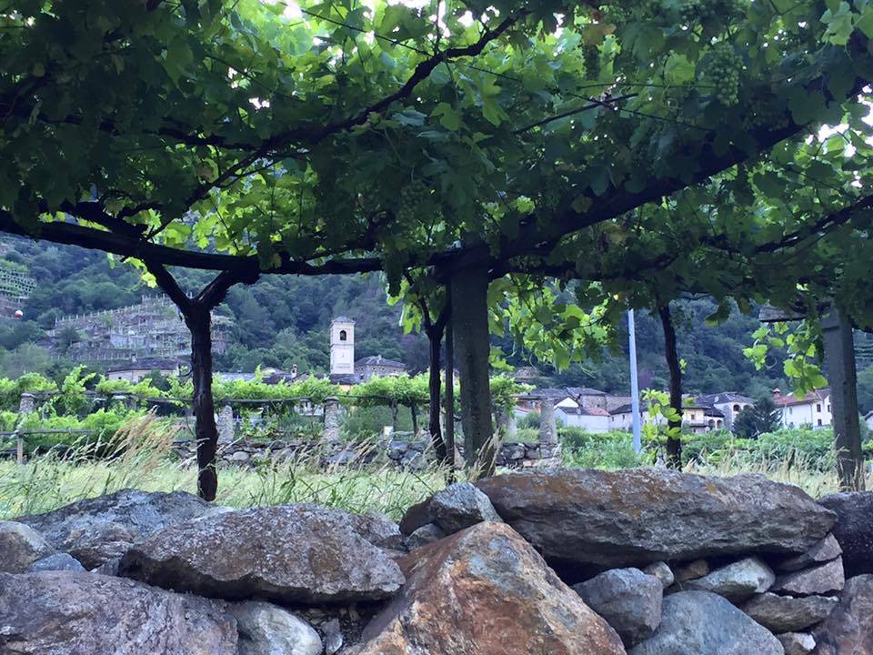 via Francigena Canavese