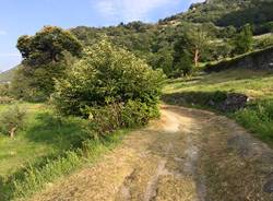 via francigena Chatillon Verres