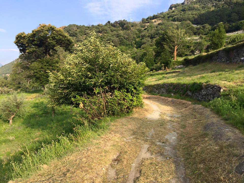 via francigena Chatillon Verres