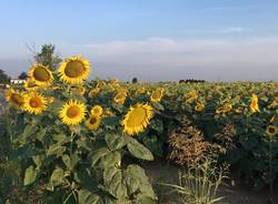 Via Francigena: da Fiorenzuola a Fidenza
