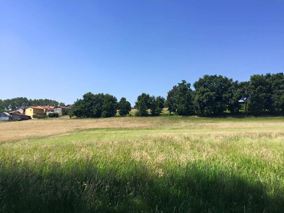 Via Francigena: da Piverone a Santhiá